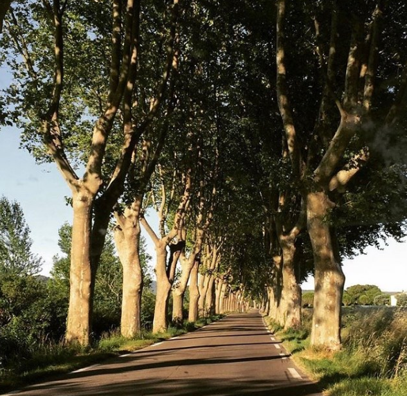 La Route d’Uzès