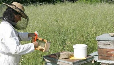 L’AGRICULTURE