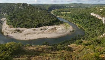 LA FORÊT